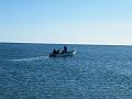 Wales-Nome 170